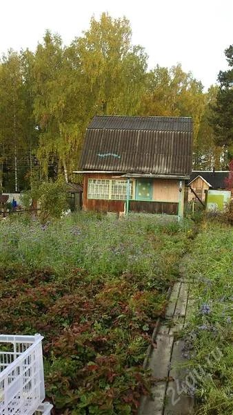 Лот: 2117325. Фото: 1. Дачный участок, станция Тростенцова... Дачи