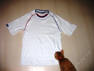 Лот: 9856. Фото: 1. Футболка Winston (так себе дизайн... Футболки, топы и майки