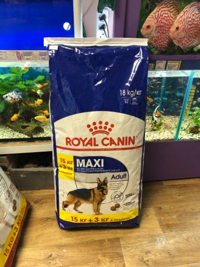 Лот: 15478697. Фото: 1. Royal Canin Maxi Abult 15+3кг. Корма