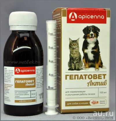 Лот: 15769038. Фото: 1. Гепатовет Актив для собак и кошек... Лекарства для животных, ветеринарные препараты