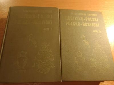 Лот: 21169230. Фото: 1. Анджей Богуславский «Русско-польский... Словари