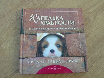 Лот: 4365326. Фото: 1. фотокнига как достойно встречать... Другое (литература, книги)