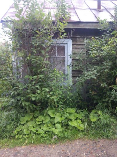 Лот: 6093602. Фото: 1. Дача ветлужанка район лыжного... Дачи