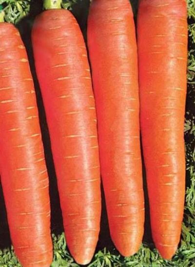 Лот: 10870748. Фото: 1. Семена моркови "Королева осени... Овощи