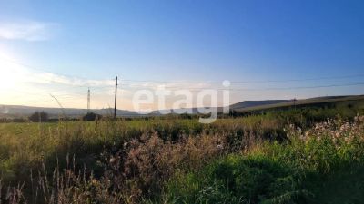 Лот: 25293599. Фото: 1. участок , село Зыково село Зыково... Земельные участки