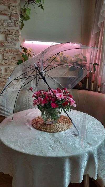 Лот: 19373468. Фото: 1. Новый зонт . Свадебный / повседневный... Зонты