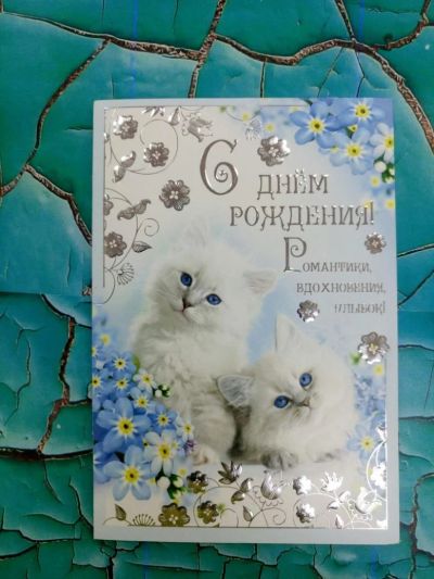 Лот: 11396662. Фото: 1. Открытка Киски. Открытки, конверты
