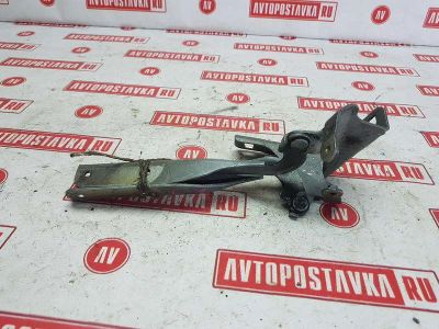 Лот: 20899208. Фото: 1. Петля капота Nissan Tiida C11... Двигатель и элементы двигателя
