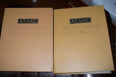 Лот: 4331104. Фото: 1. Атлас анатомии человека. Справочники