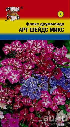 Лот: 12966912. Фото: 1. Семена флокса Друммонда "Арт Шейдс... Садовые цветы