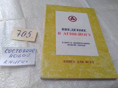 Лот: 19371728. Фото: 1. ред. Стульгинский Степан, Введение... Религия, оккультизм, эзотерика