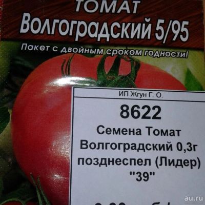 Лот: 9121793. Фото: 1. Семена / овощи / Томат / Волгоградский... Овощи