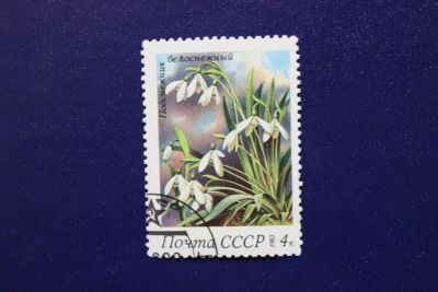 Лот: 6849532. Фото: 1. Почтовая марка №4010 в коллекцию. Марки