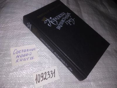 Лот: 21048619. Фото: 1. (1092331) Старостин Александр... Художественная