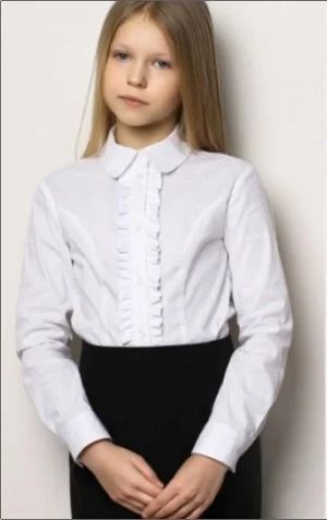 Лот: 8249196. Фото: 1. блузка на девочку. Школьная форма