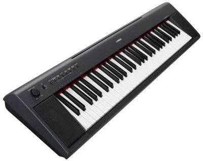 Лот: 6967698. Фото: 1. Yamaha NP-11 Piaggero. Клавишные