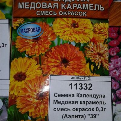 Лот: 9118059. Фото: 1. Семена / цветы / Календула / Медовая... Садовые цветы