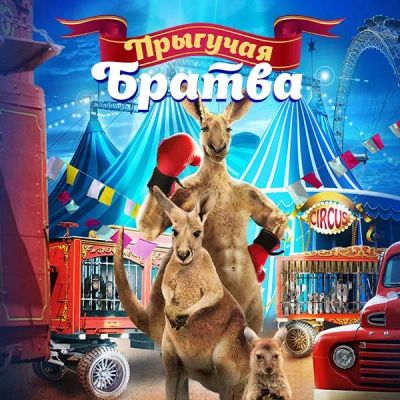 Лот: 24675276. Фото: 1. Прыгучая братва. Видеозаписи, фильмы