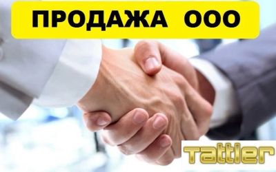Лот: 11164819. Фото: 1. Продам ООО. Другое (готовый бизнес)