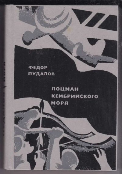 Лот: 23438797. Фото: 1. Лоцман Кембрийского моря. Художественная