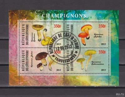 Лот: 17937431. Фото: 1. Кот Д' Ивуар, 2013 г.Малый лист... Марки