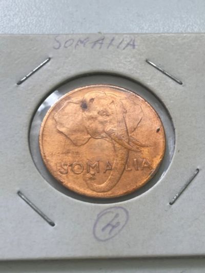 Лот: 19202096. Фото: 1. Сомали 5 чентезимо, 1950. Африка