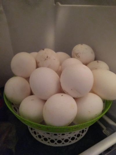 Лот: 15842147. Фото: 1. Яйцо домашних кур. Мясо, птица, яйцо