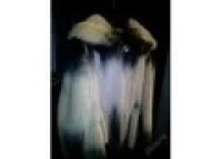 Лот: 6229744. Фото: 1. Шуба норка в отличном состоянии. Верхняя одежда