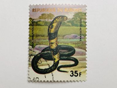 Лот: 23316558. Фото: 1. Африканские животные. Лесная кобра... Марки