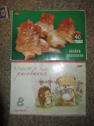 Лот: 7135315. Фото: 1. Два альбома для рисования. Для рисования