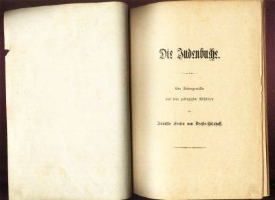 Лот: 18980187. Фото: 1. Annette von Droste-Hulshoff. Die... Книги