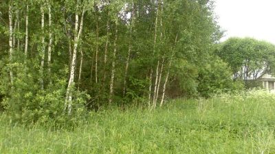 Лот: 5436113. Фото: 1. Продам Участоу 10 соток. Земельные участки