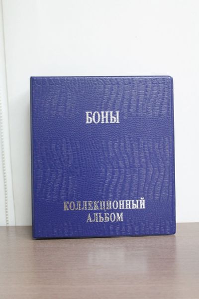 Лот: 19379219. Фото: 1. Обложка ПВХ для листов формата... Аксессуары, литература