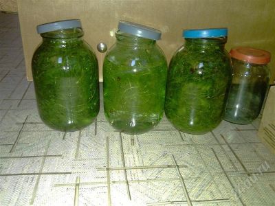 Лот: 537608. Фото: 1. 5,5 литров роголистника. Водные растения