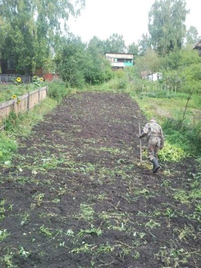 Лот: 983775. Фото: 1. земельный участок 4.5 сотки (арийск... Земельные участки
