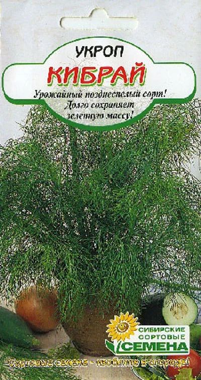 Лот: 7884449. Фото: 1. Укроп Кибрай. Овощи
