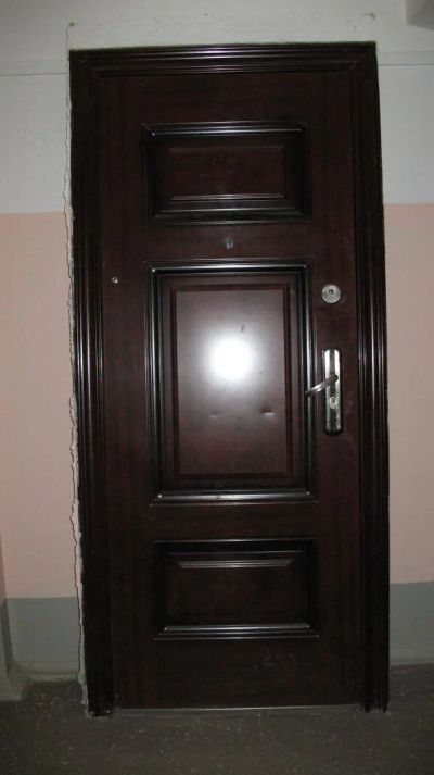 Лот: 9934572. Фото: 1. дверь входная. Двери входные