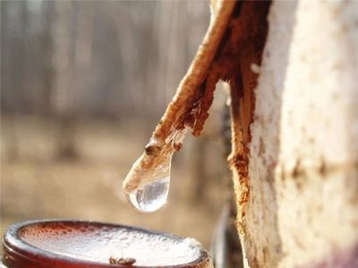 Лот: 5474662. Фото: 1. Березовый сок, сбор за 100 км... Напитки