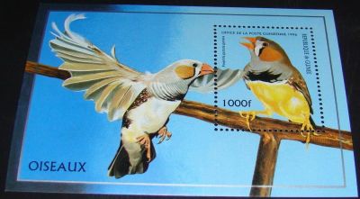 Лот: 10456496. Фото: 1. Гвинея 1996 MNH бл. Марки