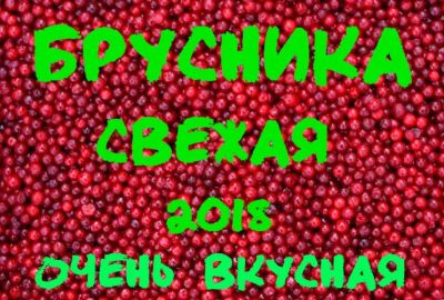 Лот: 11961028. Фото: 1. Брусника свежая 2018! Бесплатная... Ягоды, орехи