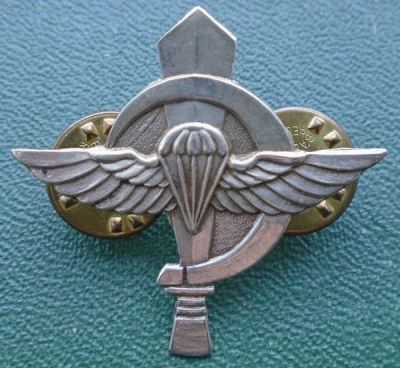 Лот: 16363601. Фото: 1. Израильский парашютный знак. Другое (значки, медали, жетоны)