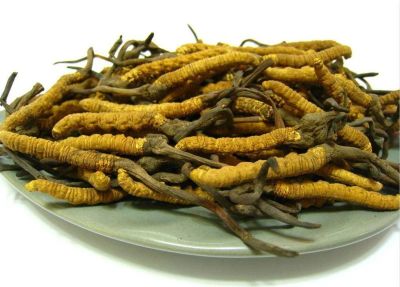Лот: 11954447. Фото: 1. Кордицепс (Cordyceps). Другое (продукты)