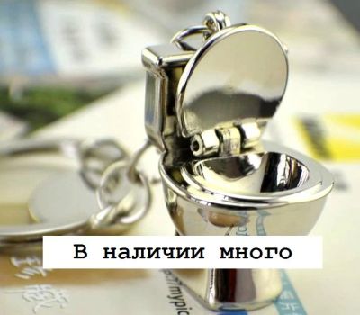 Лот: 4287019. Фото: 1. Брелок "Унитаз". Другое (сувениры, подарки)