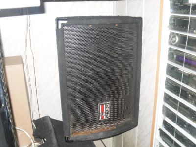 Лот: 6326115. Фото: 1. Колонка пассивная EvroSound S-110... Пассивные акустические системы