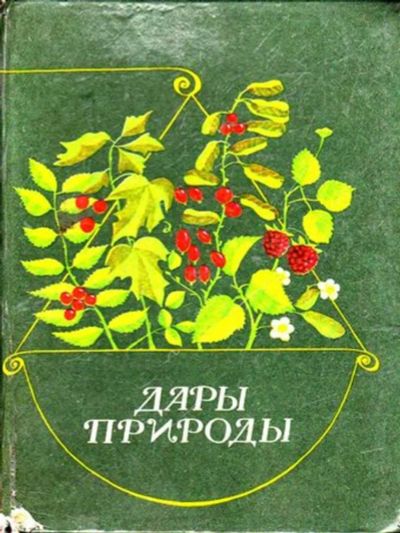 Лот: 23446197. Фото: 1. Дары природы. Сад, огород, цветы