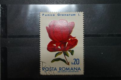Лот: 3962685. Фото: 1. марка 91 Румыния 1971 флора 2. Марки