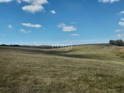 Лот: 25290354. Фото: 1. участок , деревня Лукино деревня... Земельные участки