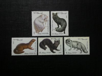 Лот: 14389744. Фото: 1. 1980, июль. Ценные породы пушных... Марки