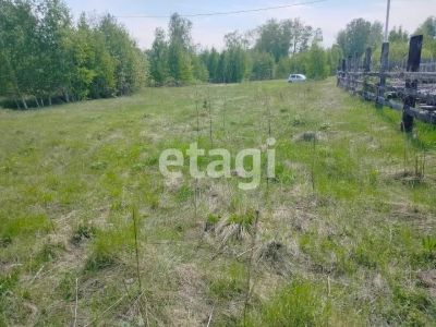 Лот: 25296368. Фото: 1. участок , ДНТ Мальта ДНТ Мальта... Земельные участки
