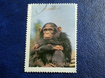 Лот: 25898856. Фото: 1. Марки Флоры и Фауны. лот №- 77069. Марки